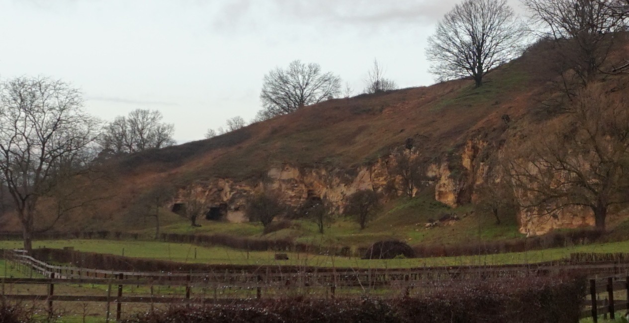 Mergelwand en kalksteengroeven op de Bemelerberg bij Bemelen