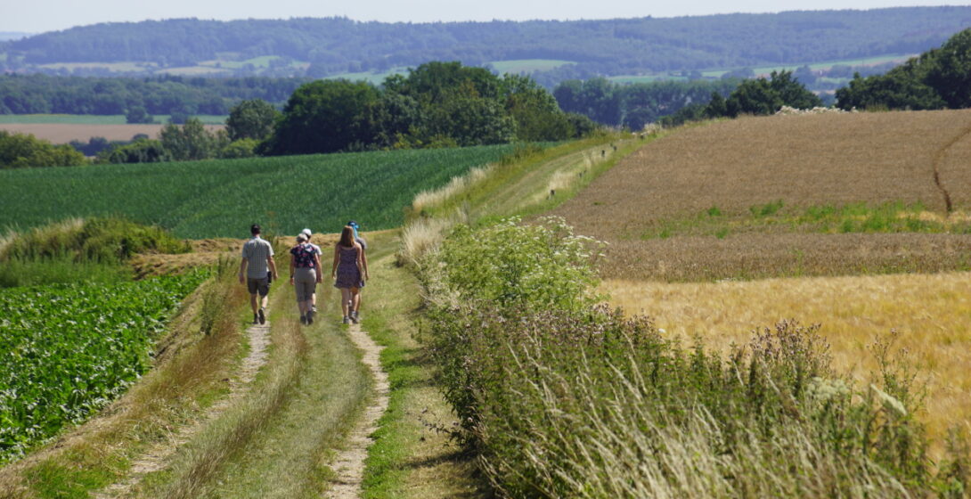 Wandern Sie auf unbefestigten Wegen vom Groenpark Simpelveld nach Herberg de Bernardushoeve