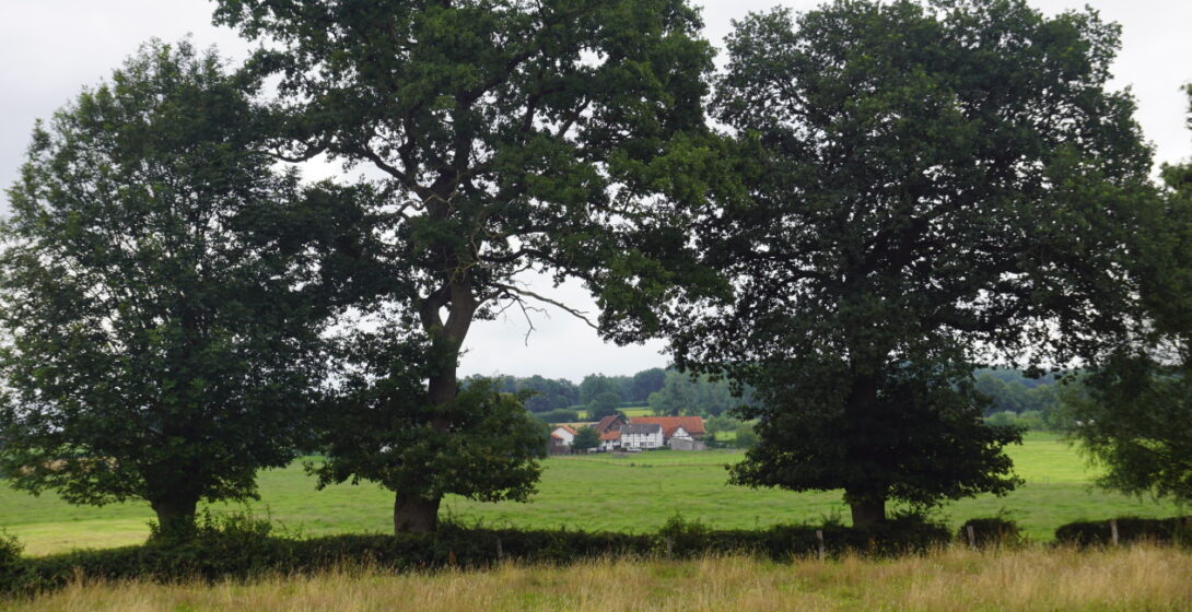 Spazieren Sie im Geul-Tal in der Nähe von Epen, 10 km von unserem Ferienhaus Bungalow 64 entfernt