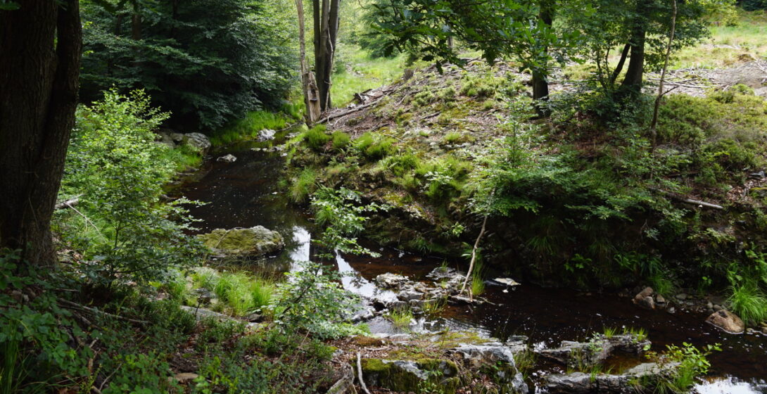 Walking tour at the Eupen dam in the Belgian Ardennes, a 40-minute drive from Bungalow 64