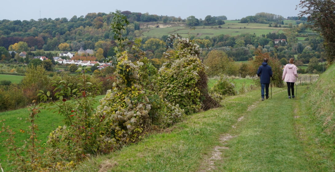 Das malerische Gerendal, ein trockenes Tal mit Waldrändern, Wiese und Orchideengarten