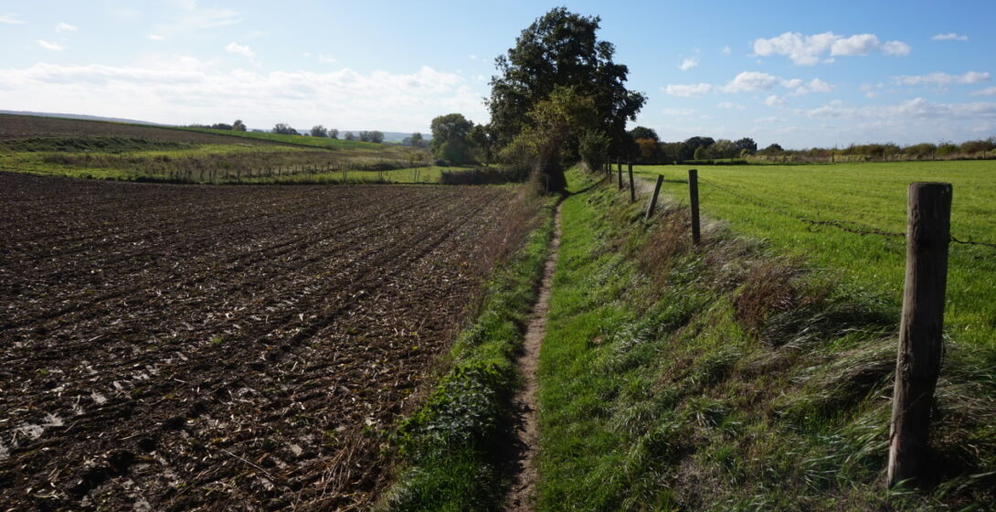 Belle promenade directement du parc à travers prairie et forêt, avec de belles vues