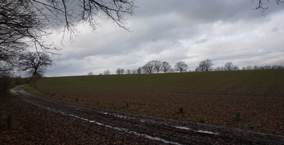 Wanderweg vom Bungalowpark zur Nordseite von Simpelveld bei der Simpelveld Fishing Association.