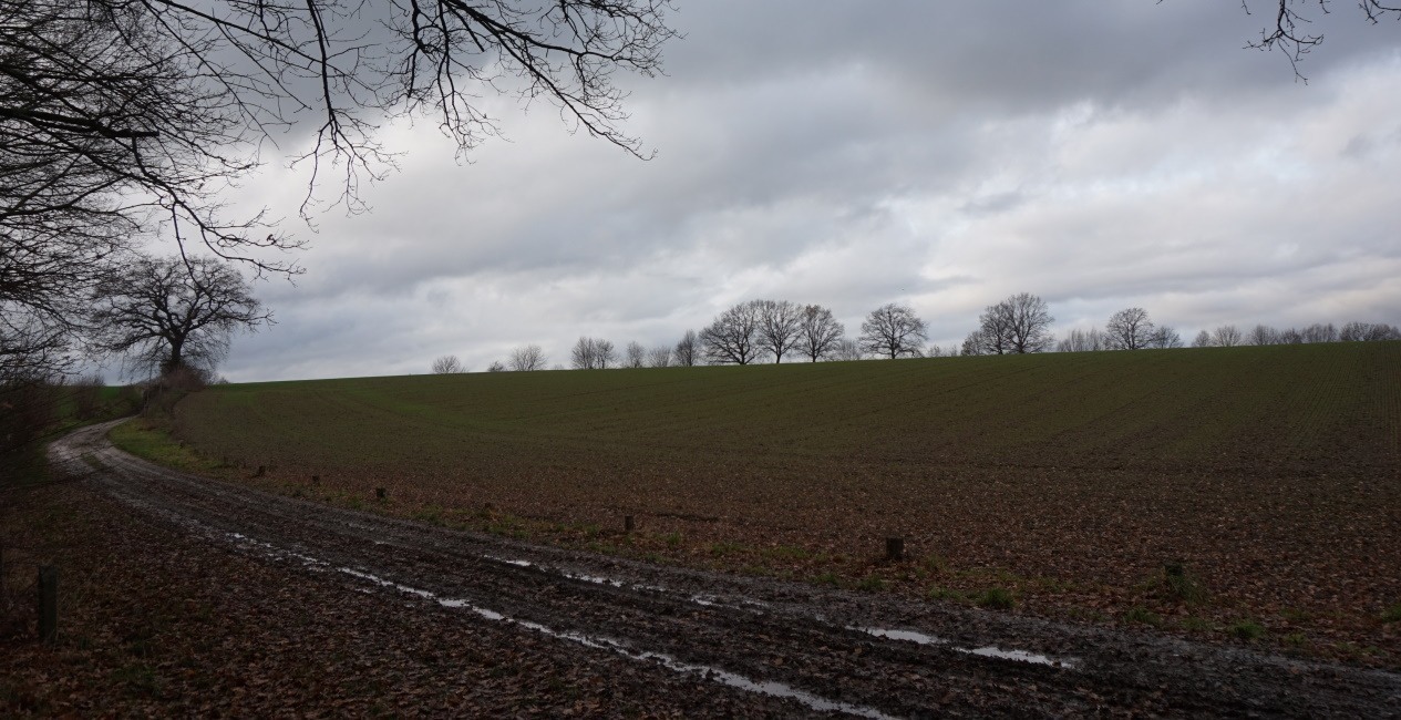 Wandelpad vanaf het bungalowpark naar de noordkant van Simpelveld bij Hengelsportvereniging Simpelveld.