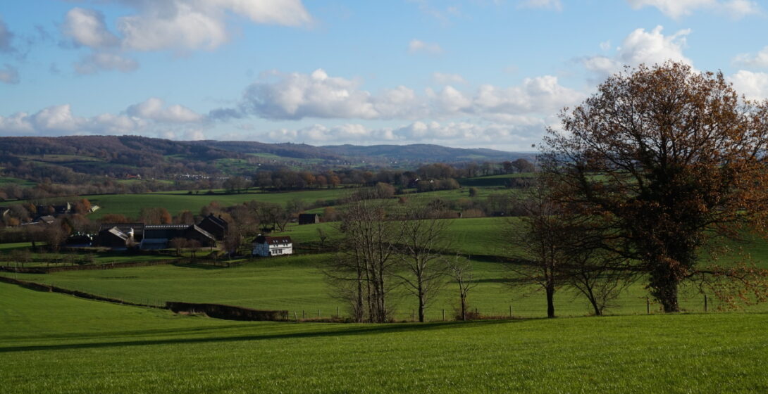 View over Eperheide from the Lower forest