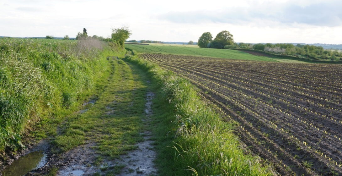 Wandeling vanaf Bungalow 64 naar Overeys langs de Eyserbeek.